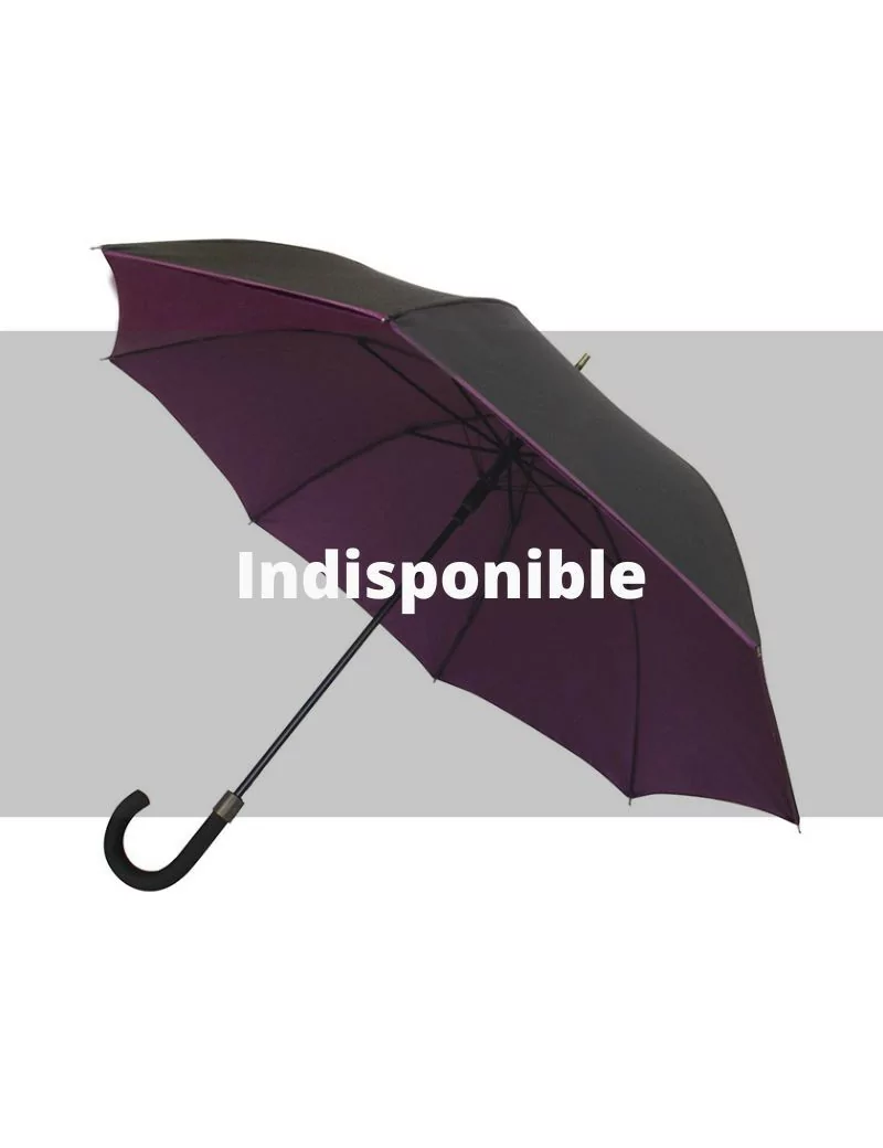 Smati parapluie original double toile noir et prune