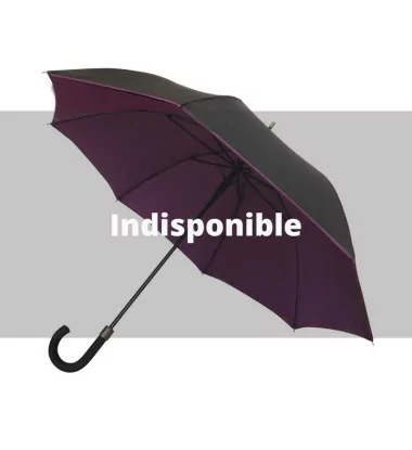 Smati parapluie original double toile noir et prune