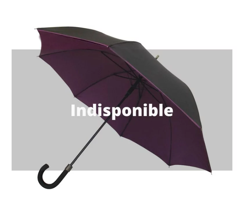 Smati parapluie original double toile noir et prune